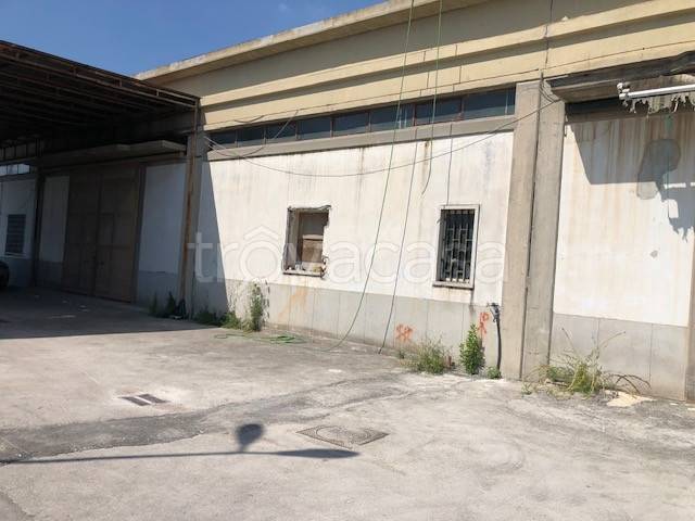 immagine annuncio 3 di 6