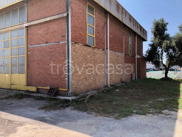 immagine annuncio 5 di 6