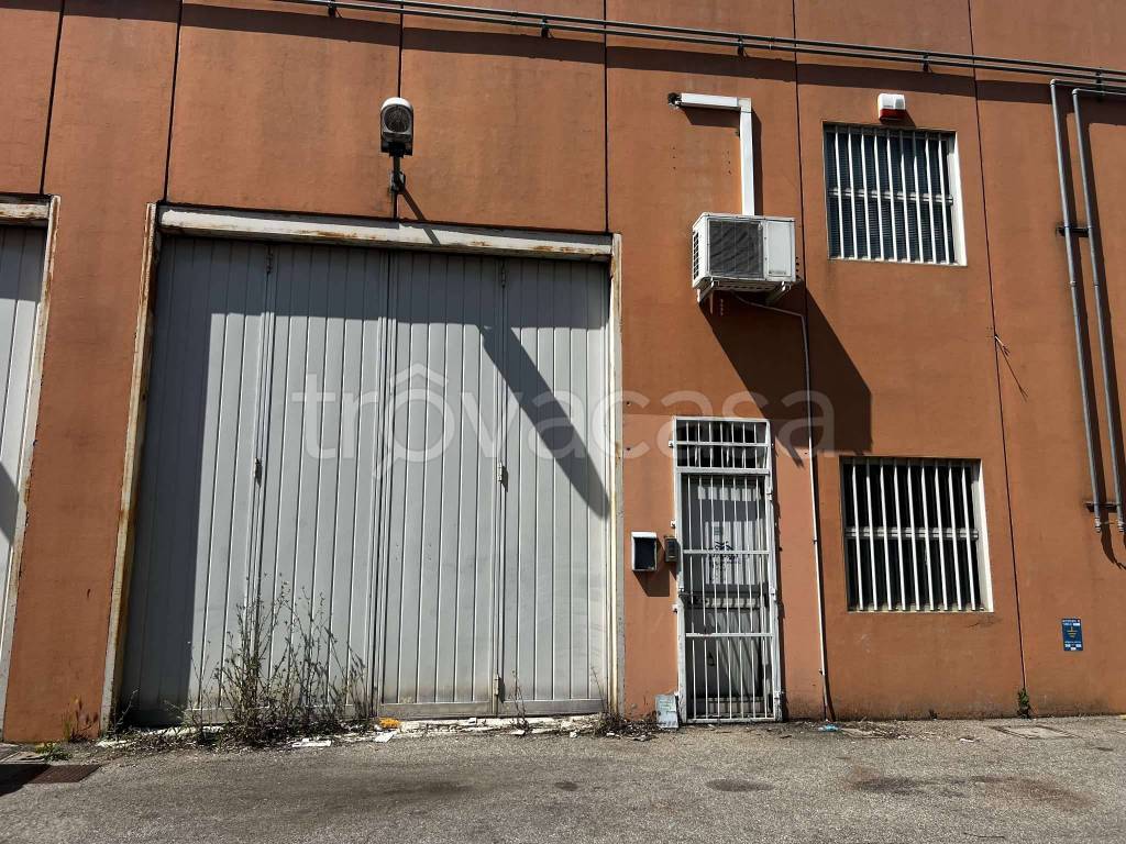 immagine annuncio 2 di 12