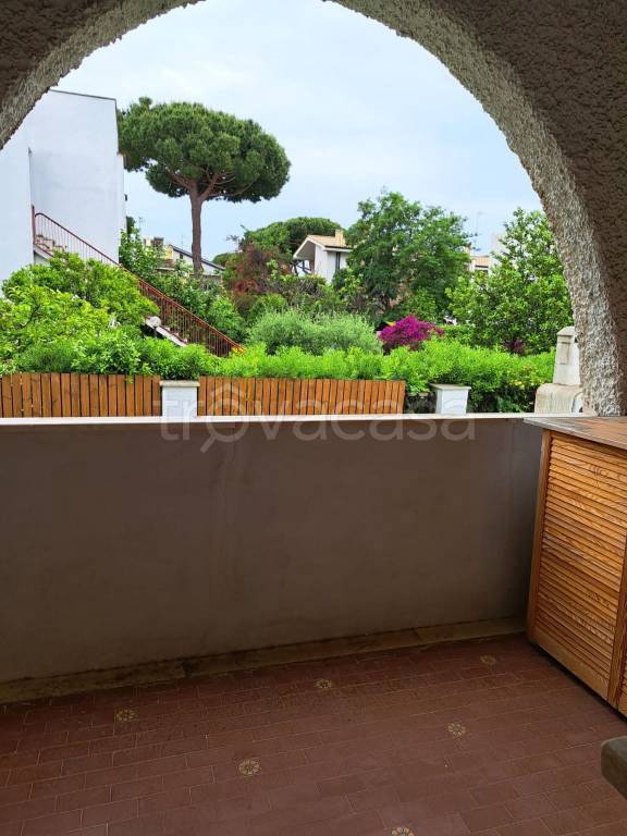 immagine annuncio 5 di 14
