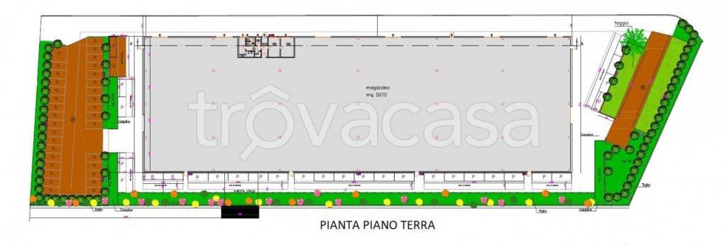 immagine annuncio 4 di 8