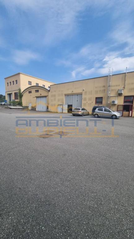 immagine annuncio 9 di 13