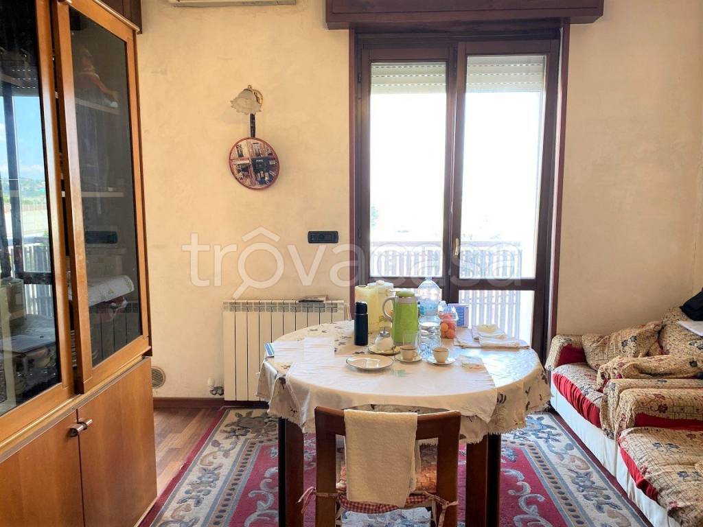 immagine annuncio 1 di 14