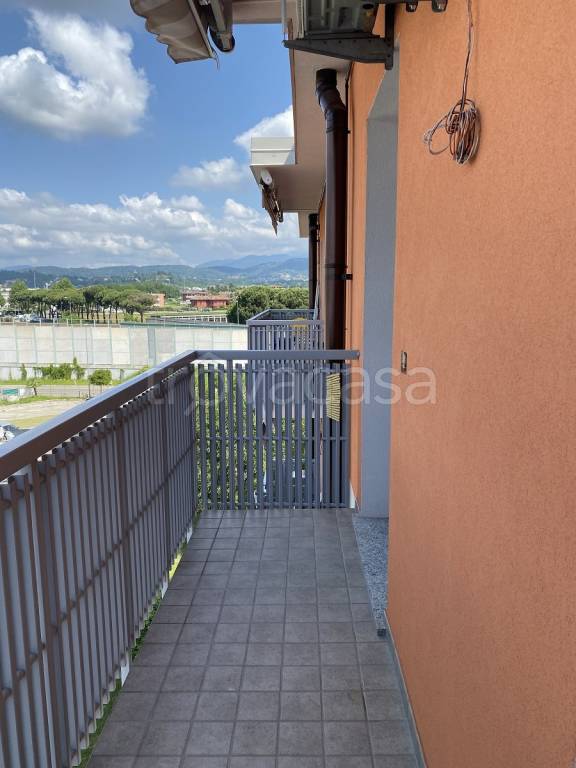 immagine annuncio 3 di 14