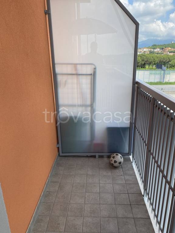 immagine annuncio 11 di 14