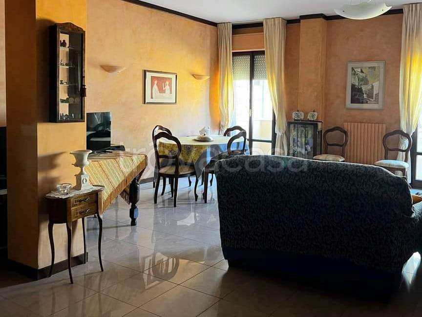 immagine annuncio 9 di 14
