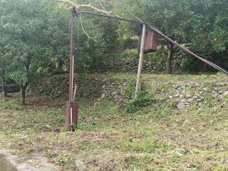 Terreno agricolo in vendita a messina 