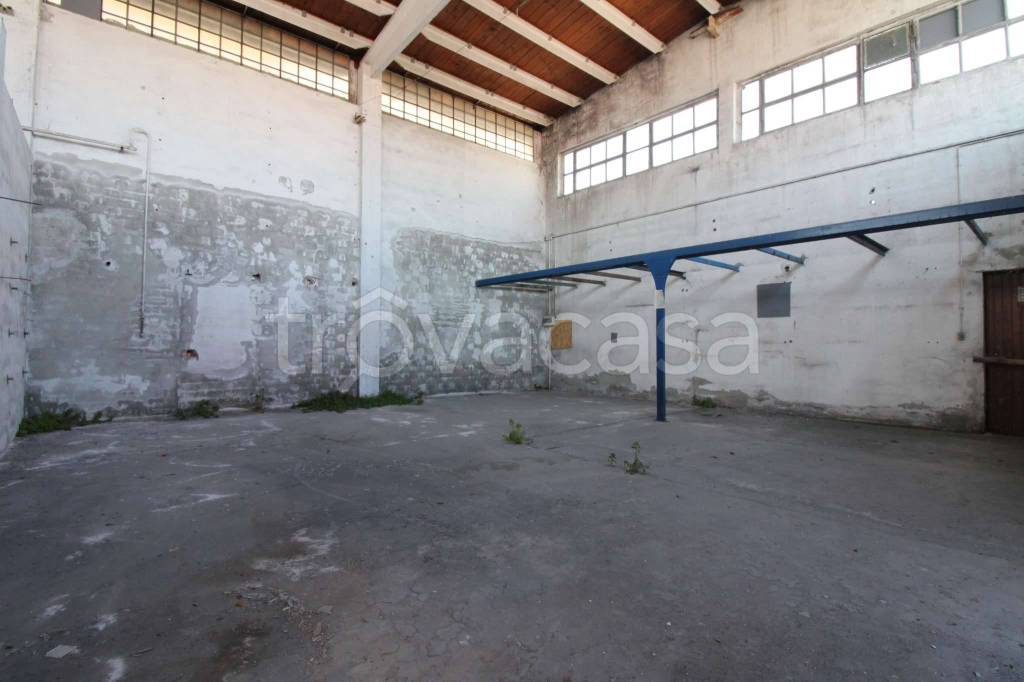 immagine annuncio 8 di 13