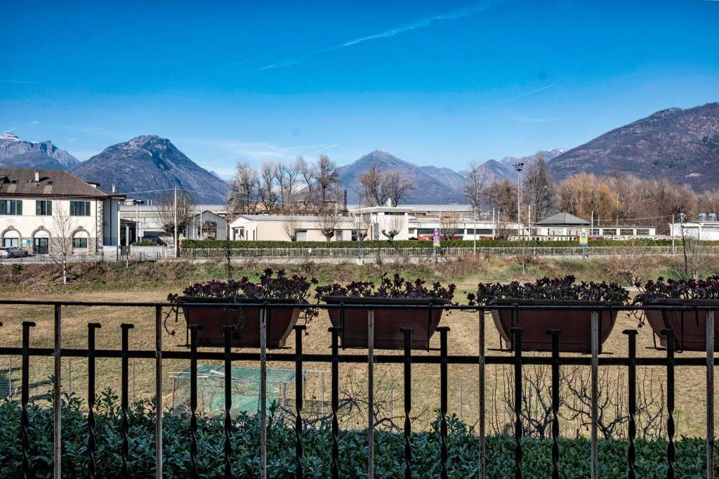 immagine annuncio 3 di 13