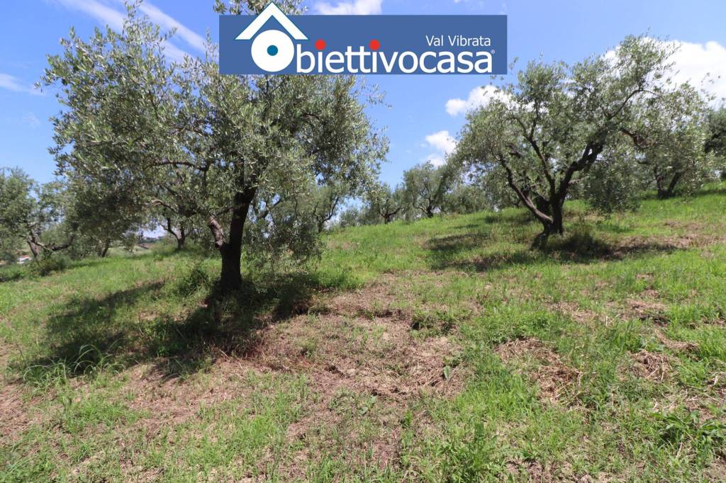 Terreno Agricolo in vendita a Civitella del Tronto strada Provinciale Fondovalle Salinello