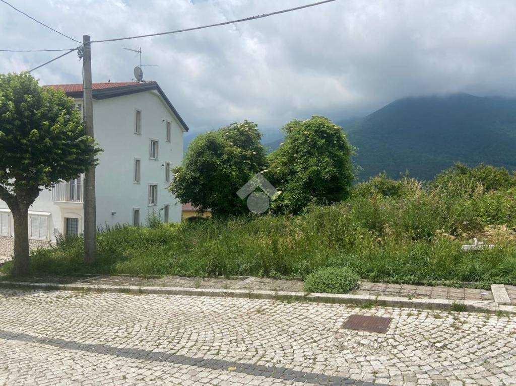 immagine annuncio 1 di 6