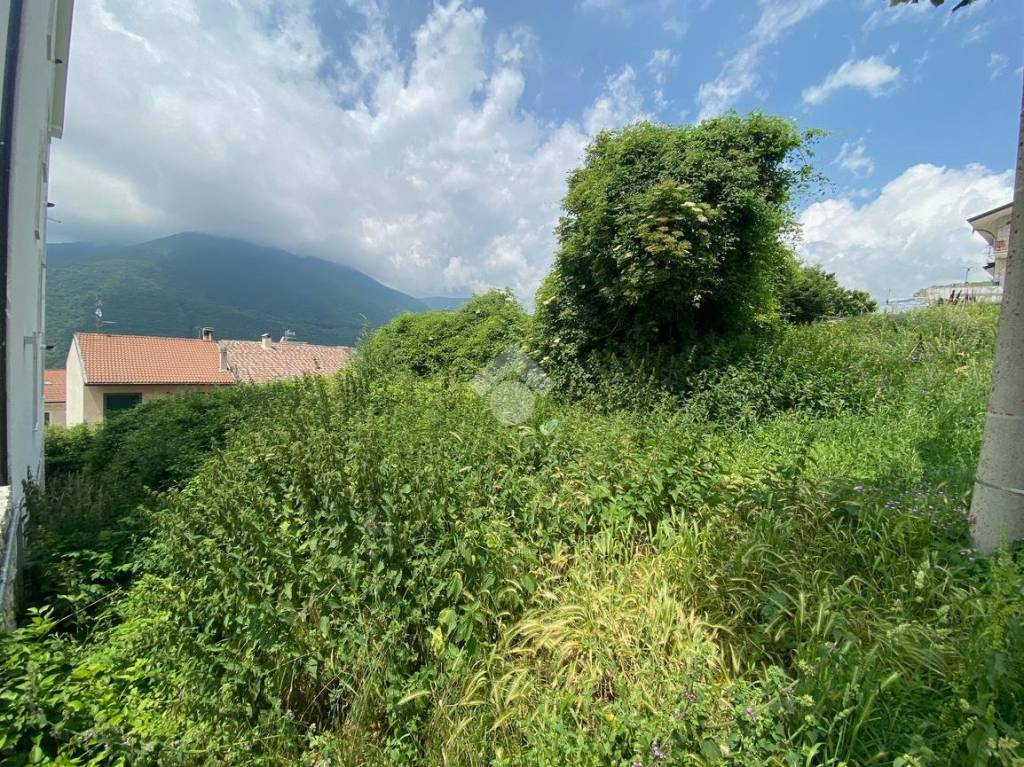 immagine annuncio 5 di 6