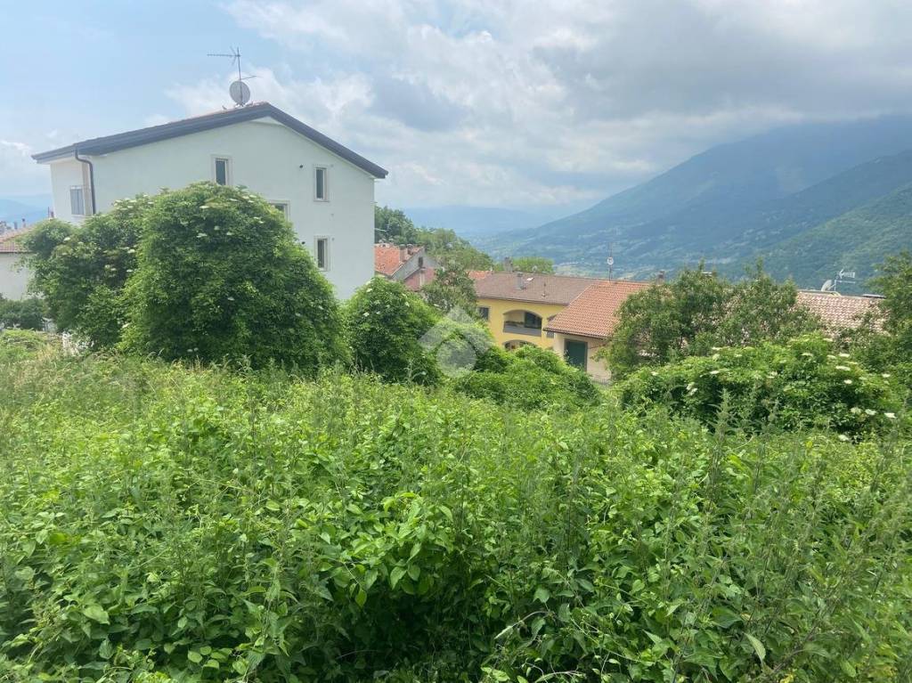 immagine annuncio 3 di 6