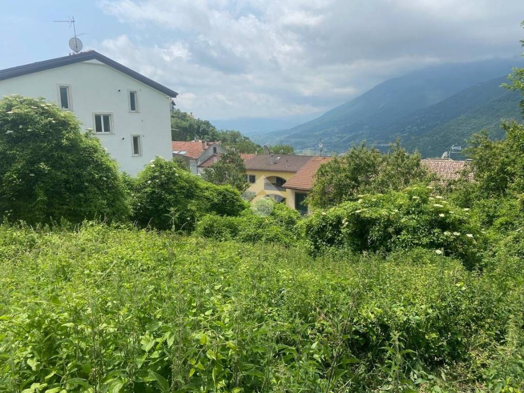 immagine annuncio 2 di 6