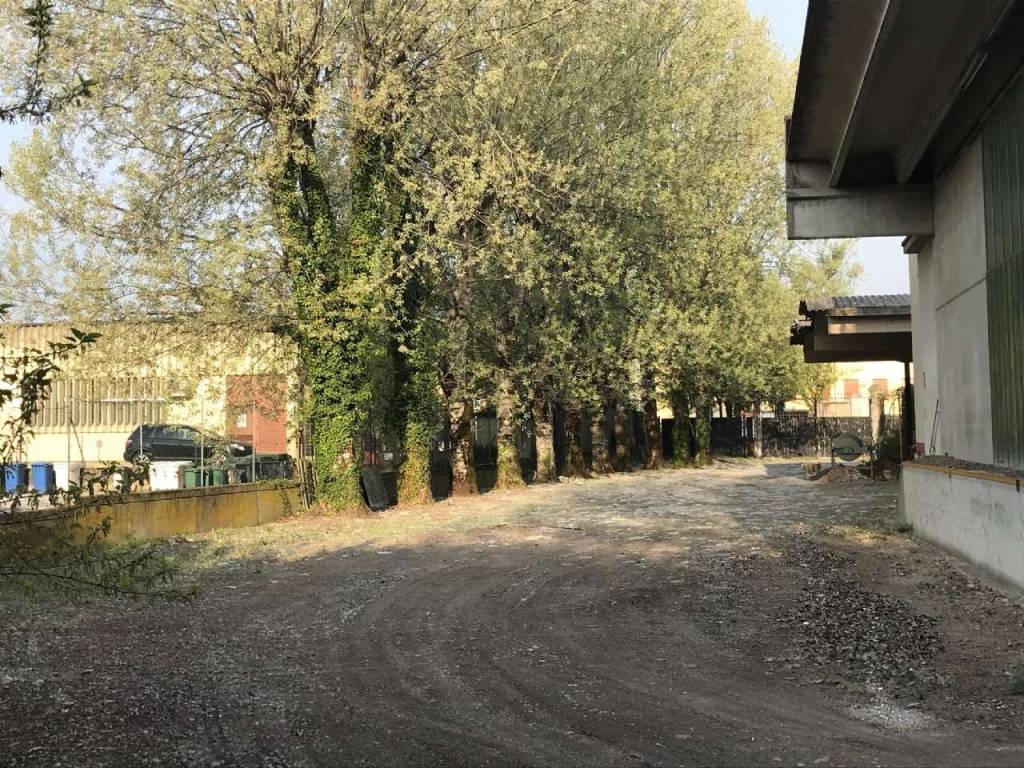 immagine annuncio 7 di 15