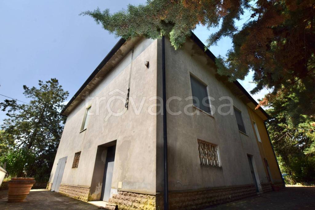 immagine annuncio 4 di 11