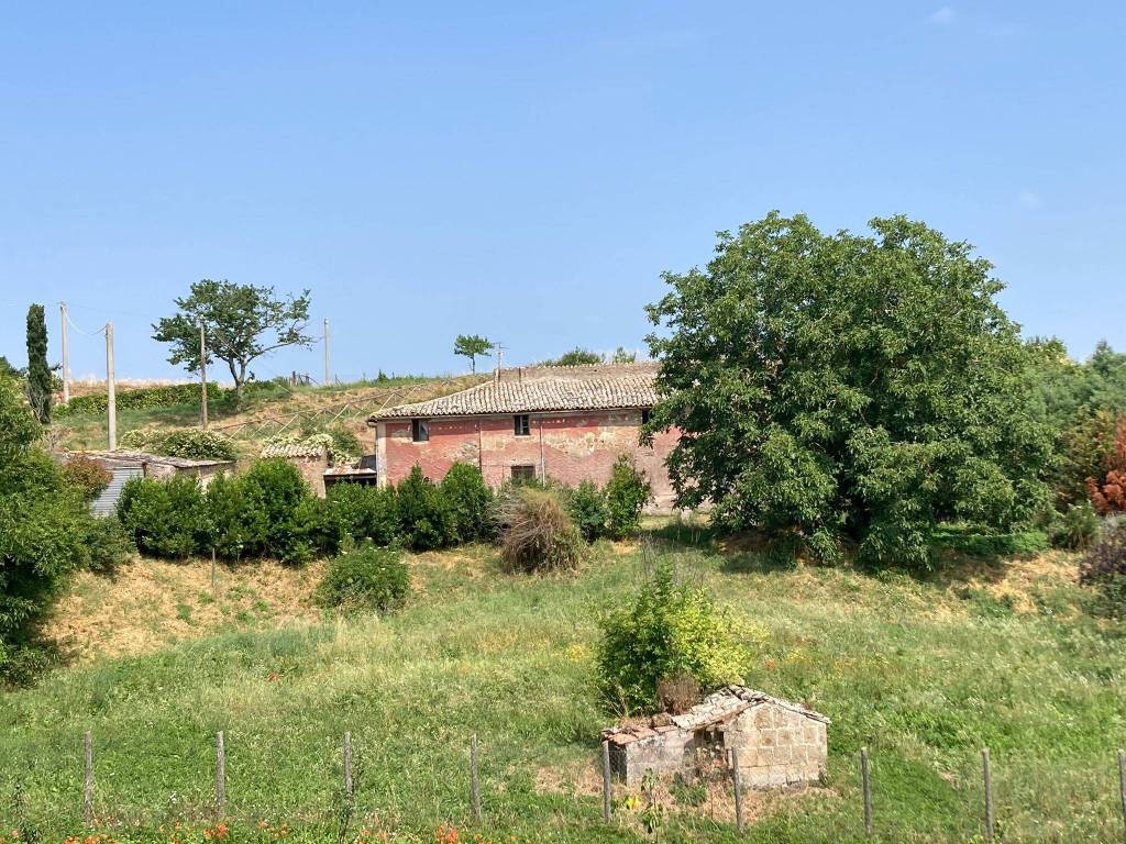 immagine annuncio 6 di 13