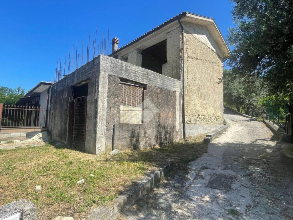 immagine annuncio 3 di 11