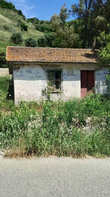 immagine annuncio 4 di 7