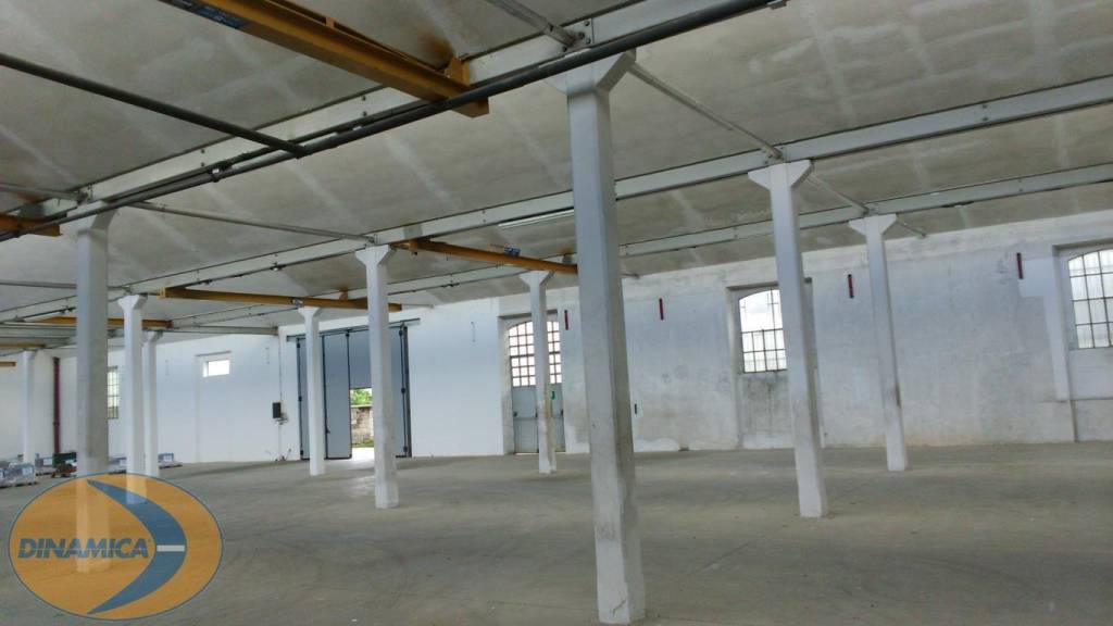 immagine annuncio 7 di 8