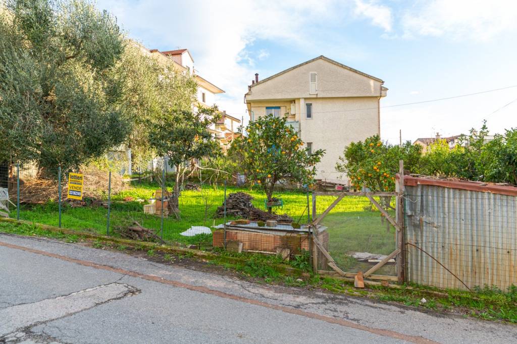 immagine annuncio 3 di 7