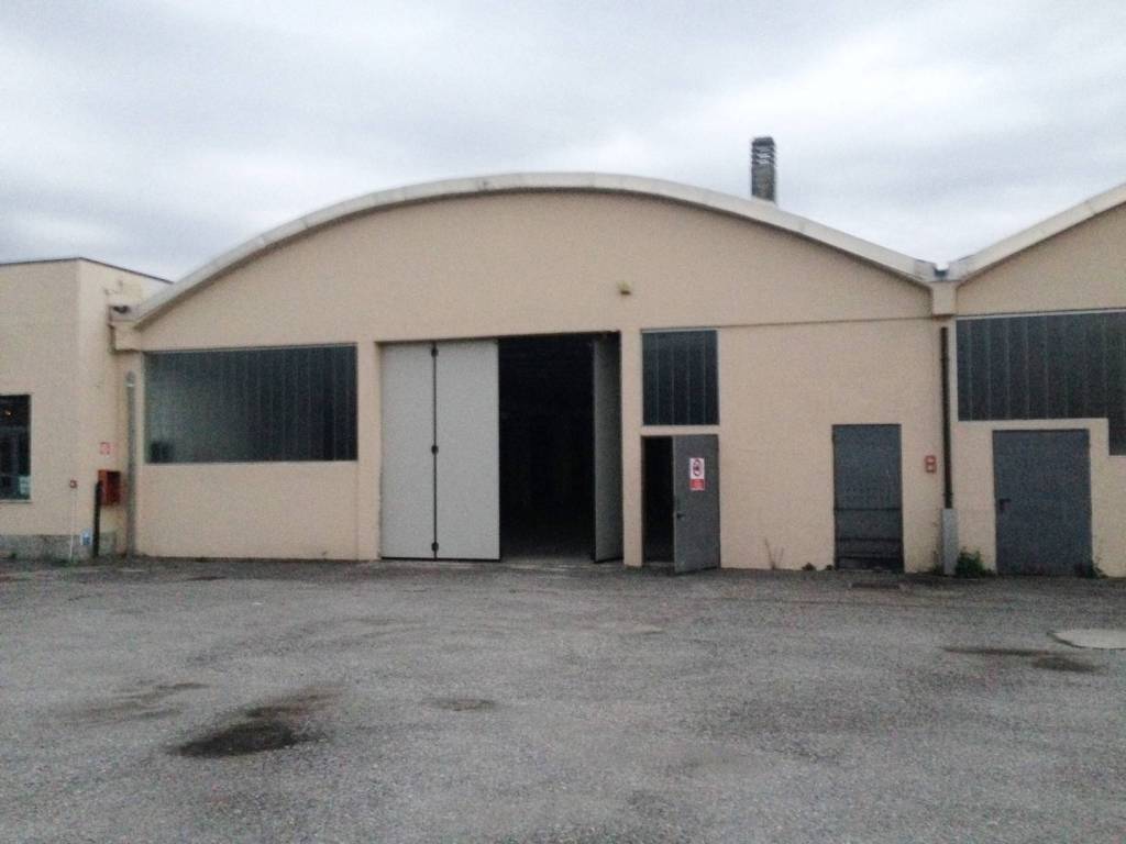 immagine annuncio 3 di 7