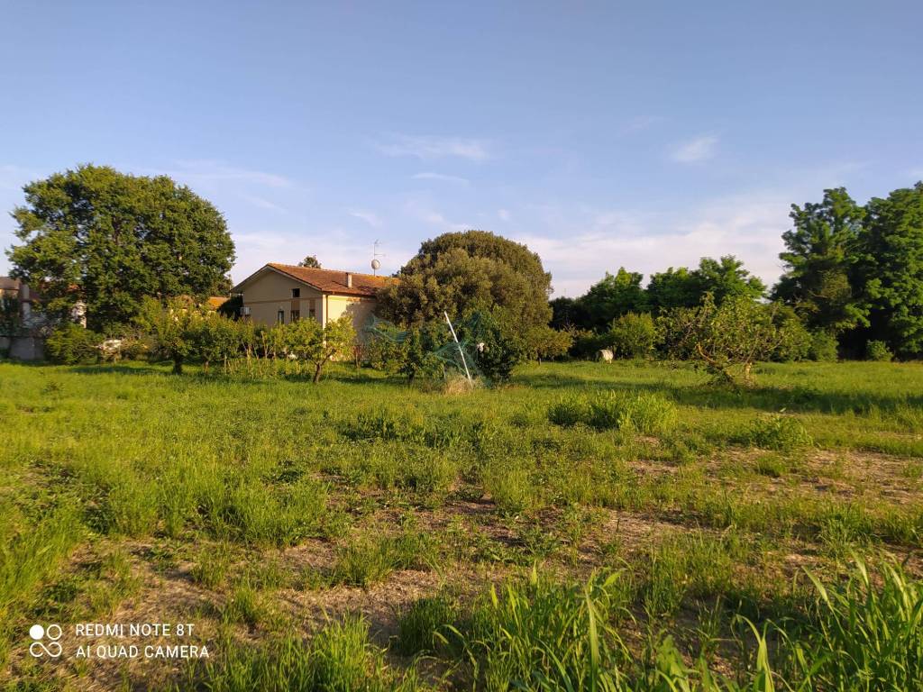 immagine annuncio 3 di 6