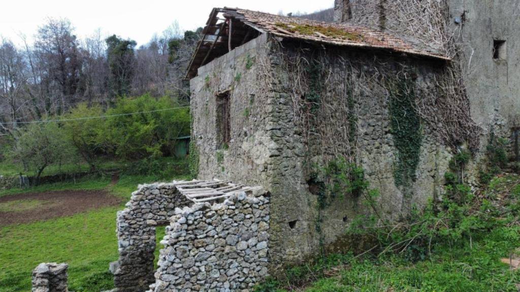 immagine annuncio 11 di 12