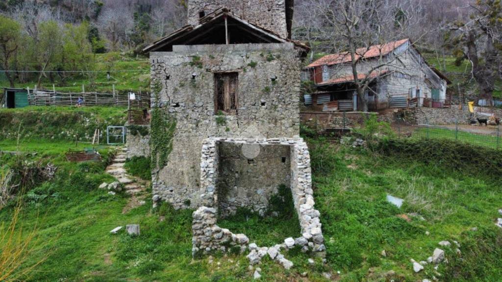 immagine annuncio 9 di 12