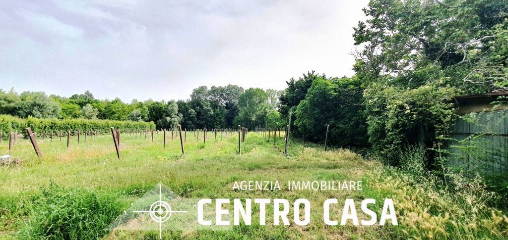 immagine annuncio 3 di 13