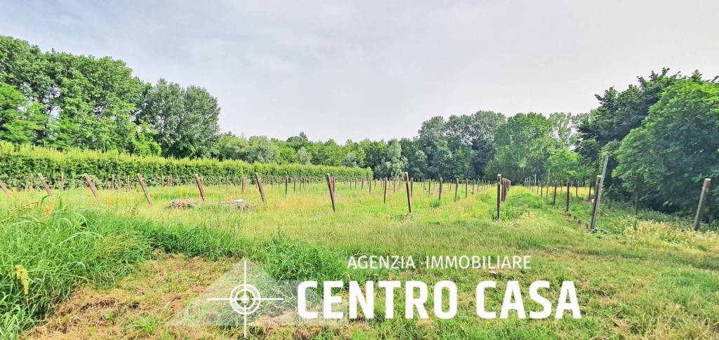 immagine annuncio 6 di 14