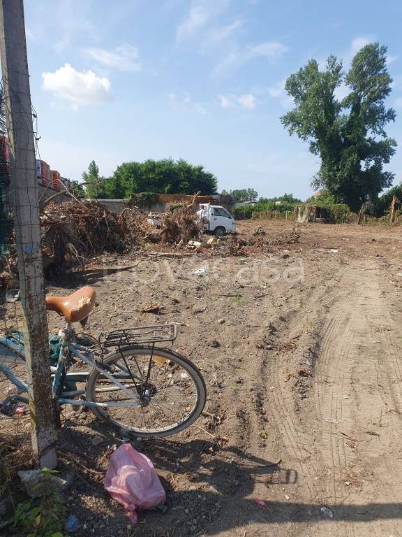 immagine annuncio 3 di 6