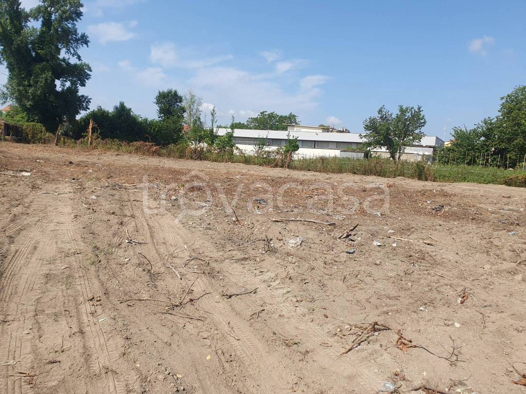 immagine annuncio 4 di 6