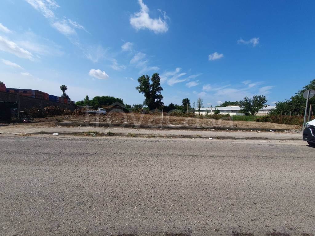 immagine annuncio 5 di 6