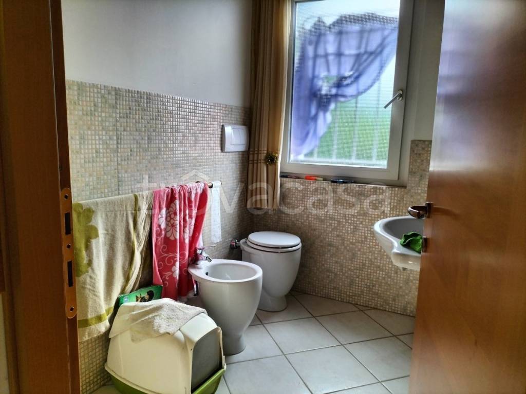 immagine annuncio 10 di 14