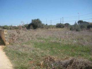 Terreno agricolo in vendita a marsala contrada san silvestro