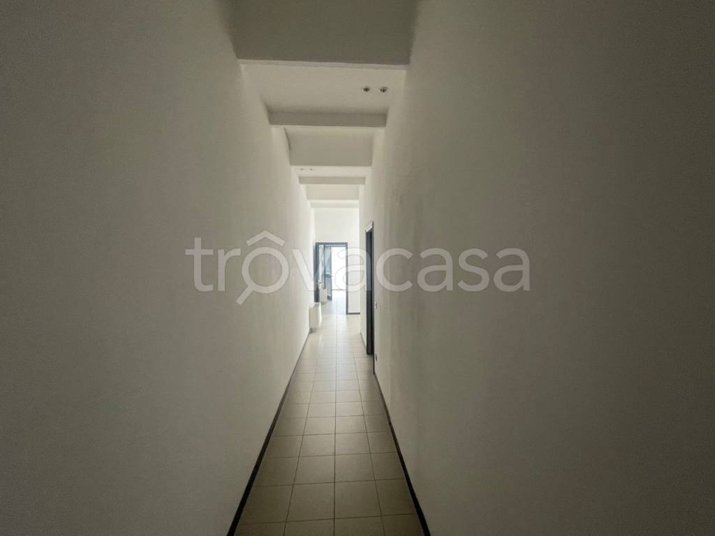 immagine annuncio 5 di 8