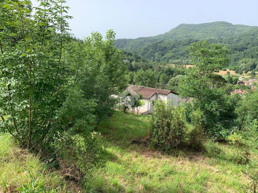 immagine annuncio 2 di 8