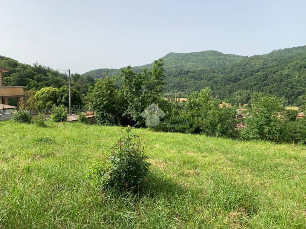 immagine annuncio 5 di 8