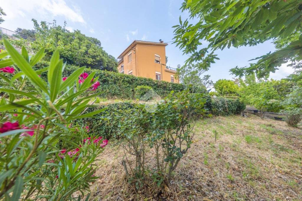 Appartamento in vendita a Monte Porzio Catone via Montecompatri, 26