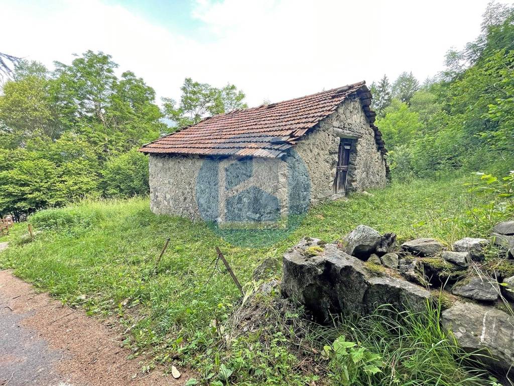 immagine annuncio 1 di 12