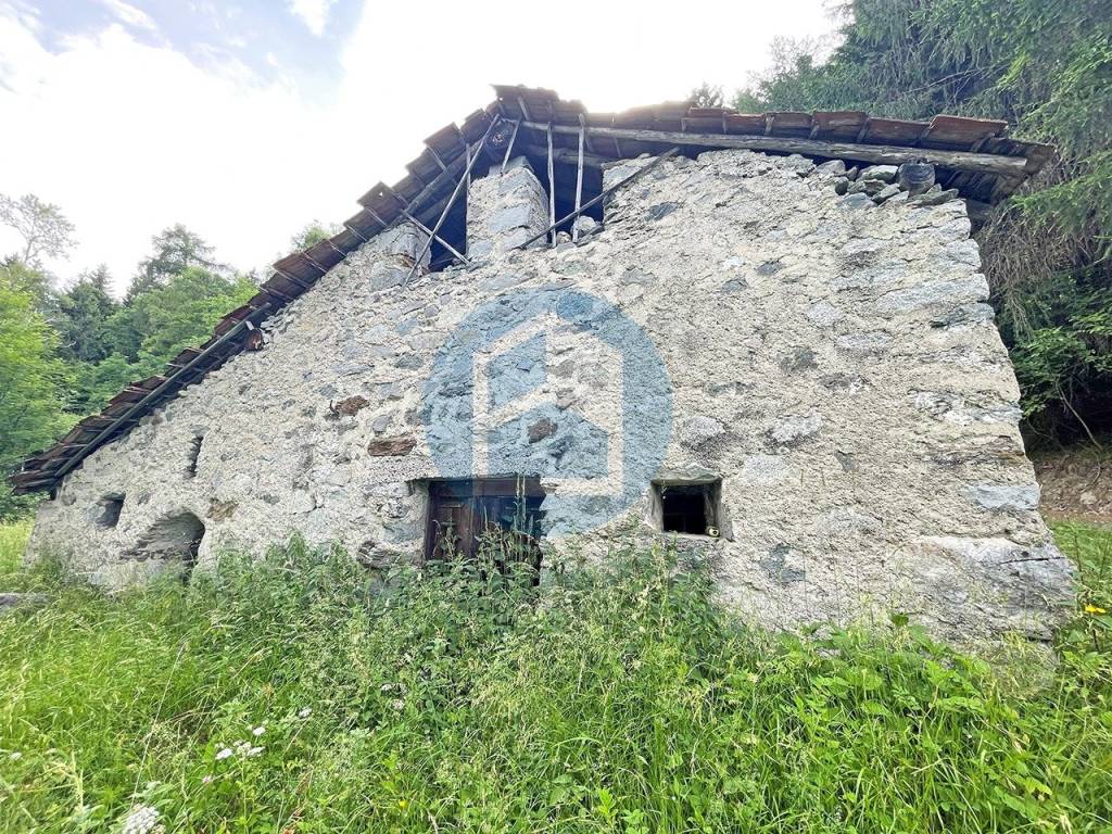 immagine annuncio 3 di 12