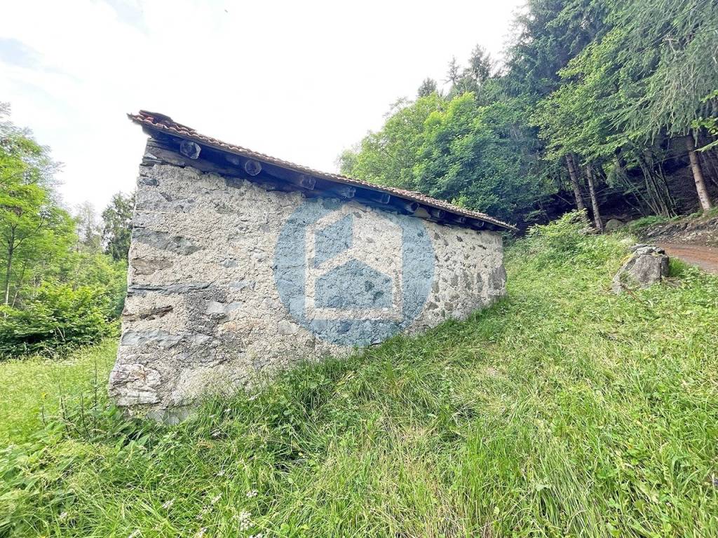 immagine annuncio 4 di 12