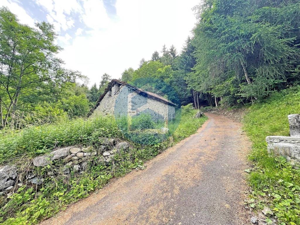 immagine annuncio 5 di 12