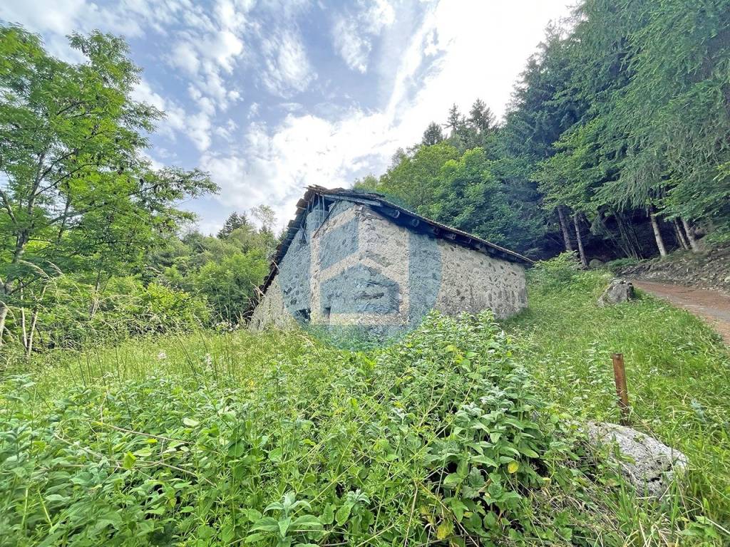 immagine annuncio 6 di 12