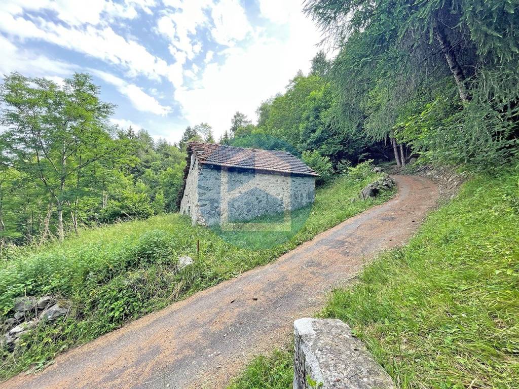 immagine annuncio 7 di 12