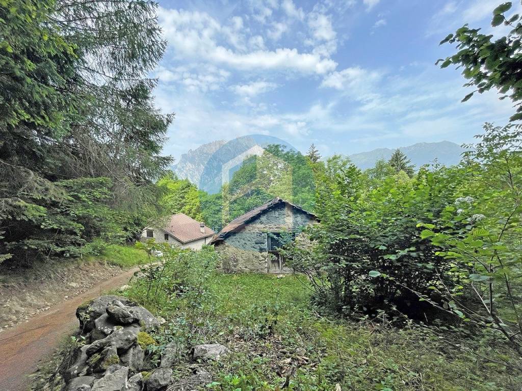 immagine annuncio 8 di 12