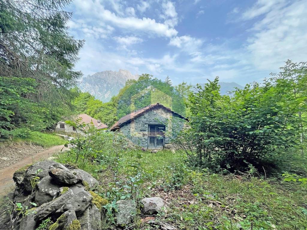 immagine annuncio 9 di 12