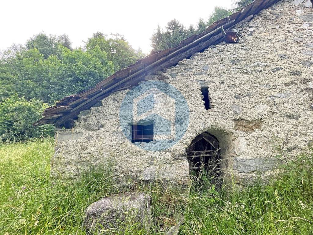 immagine annuncio 10 di 12