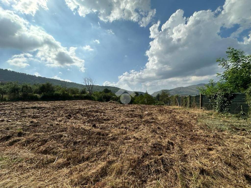 Terreno Agricolo in vendita a Tivoli via Dei Faggi
